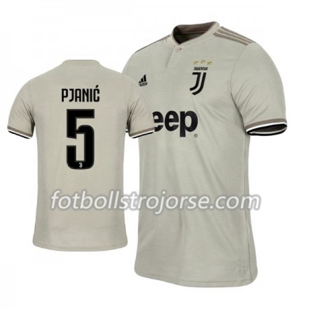 Juventus Matchtröjor Miralem Pjanic 5 Borta Fotbollströja 2018-2019 Juventus Matchtröjor Miralem Pjanic 5 Borta Fotbollströja 2018-2019